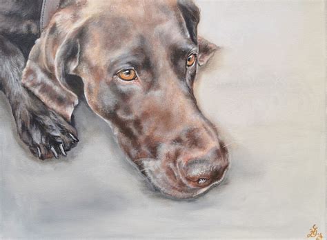 Bild Hund Hundeportrait Hundekopf Malerei Von Heike Deininger