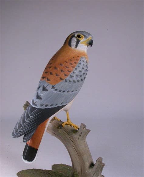 Inch American Kestrel Male Hand Carved Wooden Bird Carving Etsy