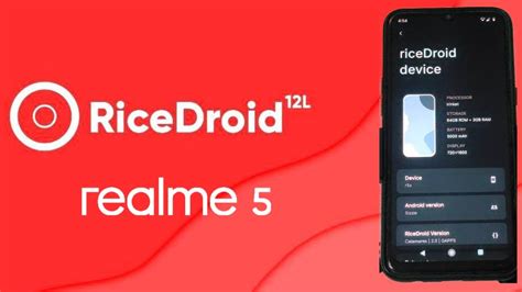 Install Dan Review Custom Rom Ricedroid Calamares Di Realme