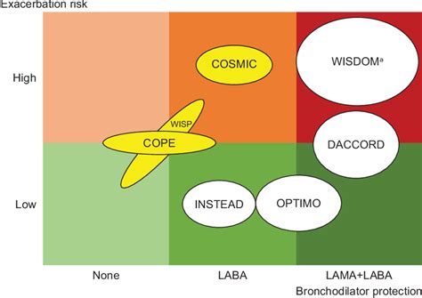 Figure 2 from Overuse of inhaled corticosteroids in COPD: five ...