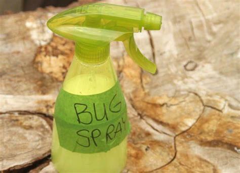 A Dozen 10 Minute Diys For A Pest Free Home Pest Control Homemade Bug Spray Insect Spray