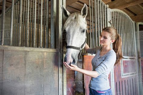 Woman Feeding Horse At Stable Stall Stock Photo Dissolve