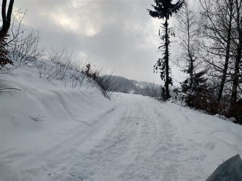 Paisaje Del Invierno Con Las Monta As Y Los Rboles Nieve Rural De Las