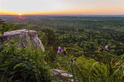 Best Places to Hike in Alabama - Alabama Waterfalls