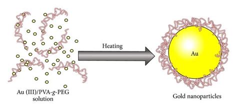 A Schematic Of The One Step Synthesis Of Gold Nanoparticles From Gold