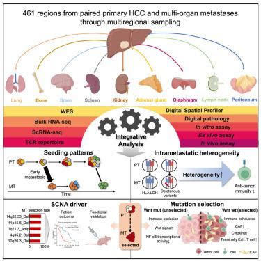 Integrated Multi Omics Profiling To Dissect The Spatiotemporal