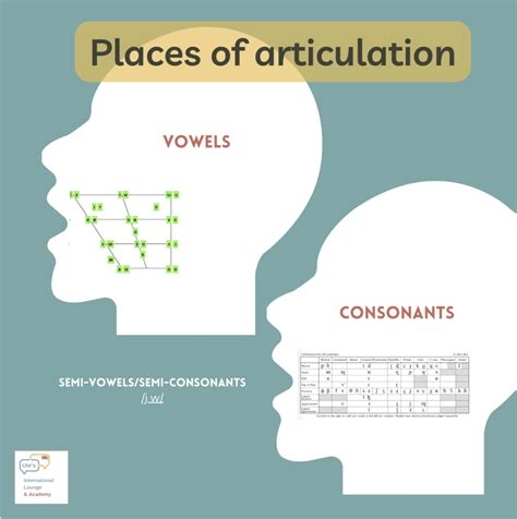 How To Articulate Sounds Utes International Lounge And Academy