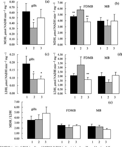 Figure From Comparative And Ontogenic Biochemistry Activity Of Energy