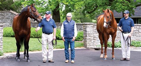 Coolmore Australia | Home Of Champions | Jerrys Plains