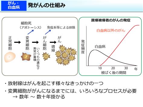 環境省発がんの仕組み