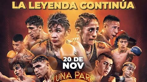 Luego De A Os El Luna Park Vuelve A Albergar Al Boxeo La Tigresa