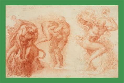 Michelangelo Divine Draftsman Designer Copyright Bookshop