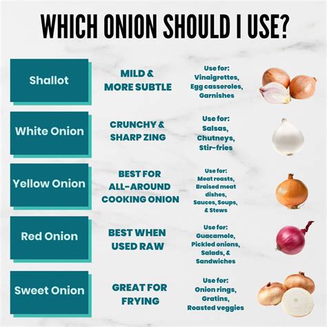 Onion Chart For Cooking