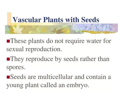 Ppt Vascular Plants With Seeds Powerpoint Presentation Free Download