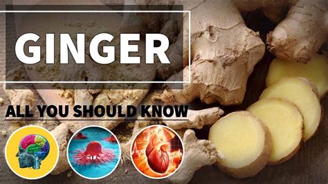 Ginger Health Benefits 💚 100 Natural Plant Based Diet Youtube