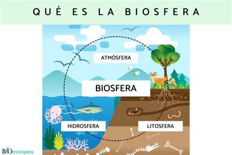 Biosfera Qué Es Características Y Capas Resumen