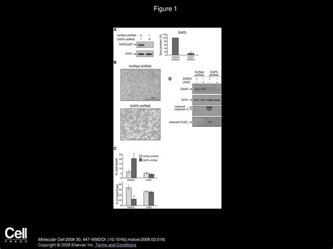 Volume 30 Issue 4 Pages May 2008 Ppt Download