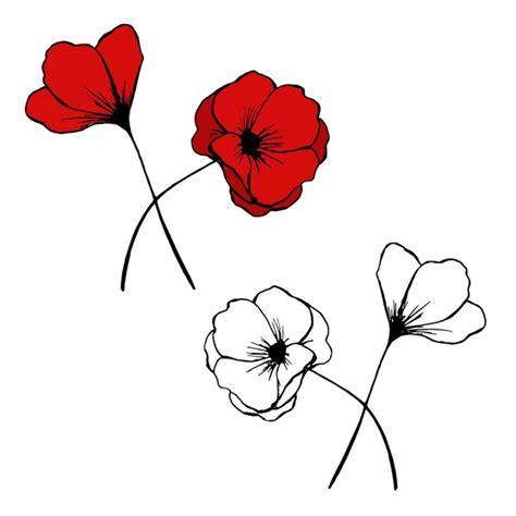 Royal British Legion Poppy Clipart Images