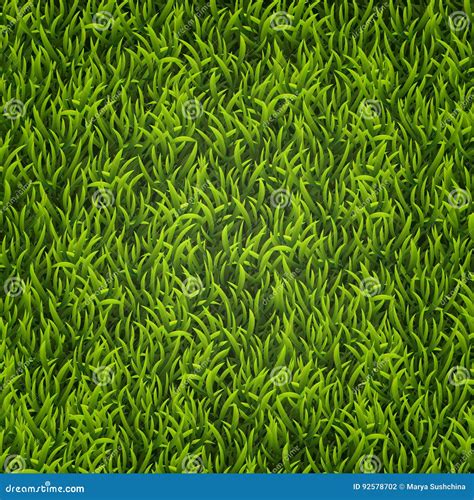 Green Grass Natural Background Texture Tall Grass Fresh Spring Green Grass Stock Vector