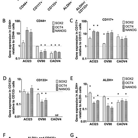 CD117 And ALDH CD133 Cells Have Elevated SOX2 OCT4 And NANOG