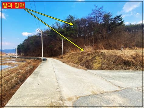 【매물번호 4556】 “영주시에서 불과 9km 정도 무척 가까운 거리에 위치한 전 4필지와 낮은 준보전산지 임야로 농장지로