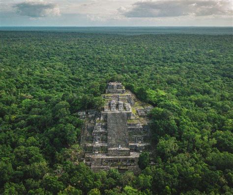 Calakmul El Reino De La Cabeza De Serpiente Tierras Mayas