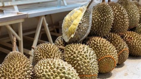 Kenapa Durian Aromanya Sangat Menyengat Ini Alasan Ilmiahnya