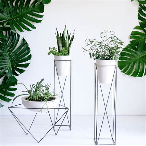 Tall Indoor Planters Foter