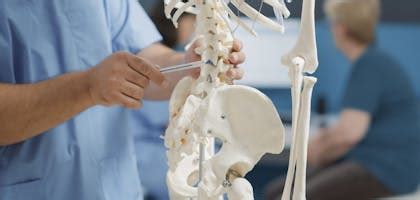 Coccyx / Tailbone Pain - ProCare Pelvic Health