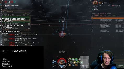 Eve Solo Pvp Blackbird Youtube