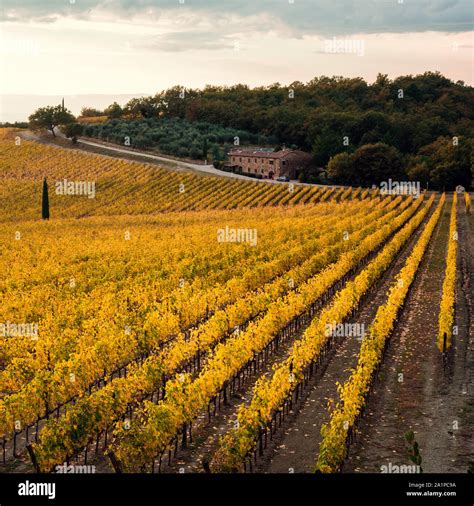 Chianti Hills Region Hi Res Stock Photography And Images Alamy