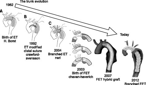 Figure 3 from The Frozen Elephant Trunk Technique: European Association ...