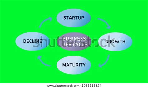 Business Life Cycle Startup Growth Maturity Stock Illustration