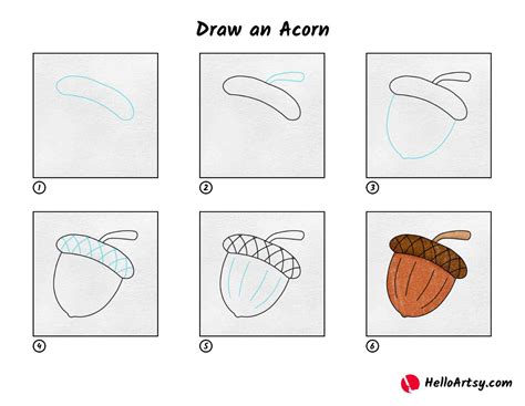 Draw an Acorn - HelloArtsy