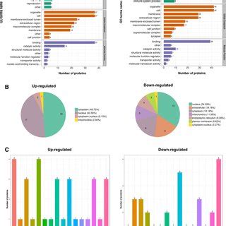 Functional characterization of identified acetylation proteins. A The... | Download Scientific ...