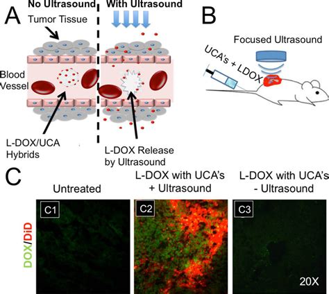 Research Image Guided Drug Delivery Lab