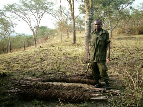 Wcs Uganda Initiatives Human Livelihoods Bushmeat Hunting