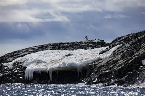 Penguin rock stock image. Image of interest, chunks - 173862237