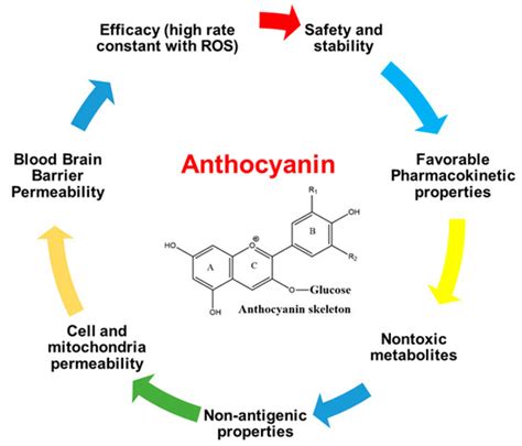 Nutrients Free Full Text Natural Antioxidant Anthocyaninsa Hidden