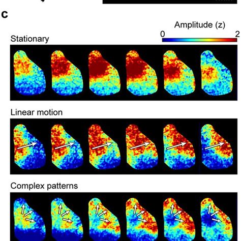 PDF Classification Of Spatiotemporal Neural Activity Patterns In