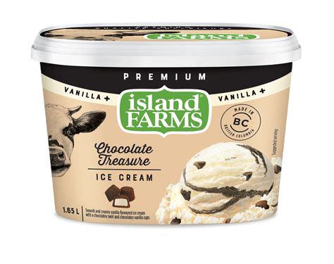 Vanilla Plus Chocolate Treasure Ice Cream | Island Farms