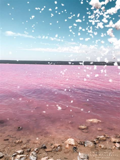 Hutt Lagoon - How to visit WA's Pink Lake in 2024