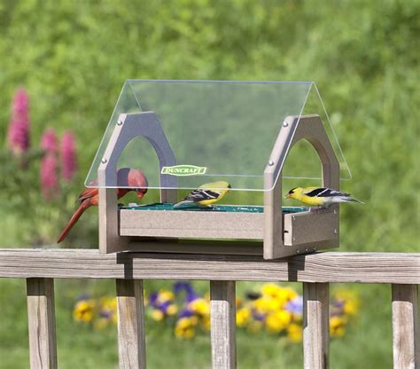 What to Consider in a Bird Feeder Stand: Metal Bird Feeders Stands