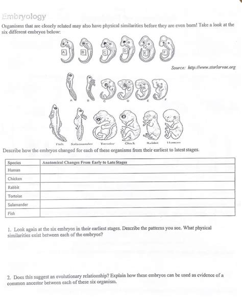 Mechanisms Of Evolution Worksheets