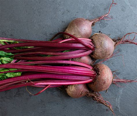 Beets Early Wonder Beet Seeds Martha S Garden