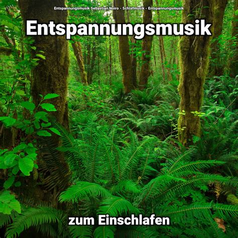 Entspannungsmusik Zum Einschlafen Teil Song And Lyrics By