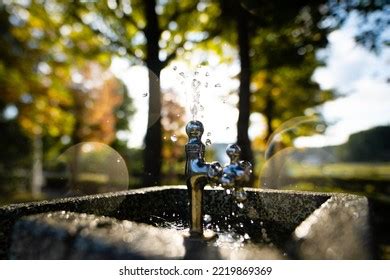 Drinking Water Water Fountain Park Stock Photo 2219869369 | Shutterstock