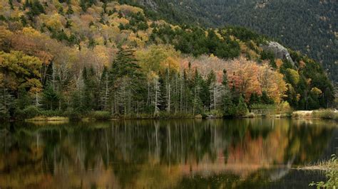 Wallpaper forest, reflection, lake, autumn, nature, landscape hd, picture, image