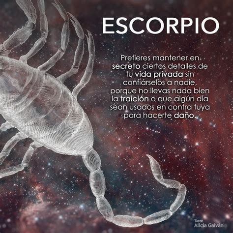 Quotes Imagenes Y Frases De Signo Escorpio Frases De Una Escorpiana