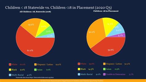 Welfare Statistics By Race